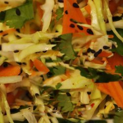 Fusion Coleslaw