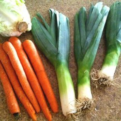 Navy Bean & Cabbage Soup