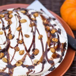 Turtle Pumpkin Pie