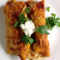 Quick and Easy Chicken Enchiladas