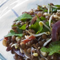 Cold Lentil Salad