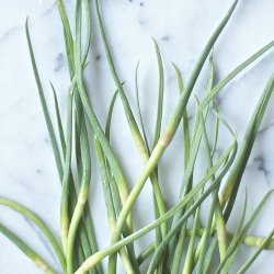 Garlic Oatmeal Soup