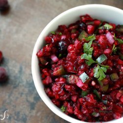 Spicy Cranberry Salsa