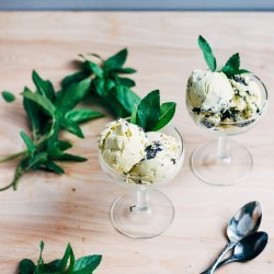 Mint Chocolate Chip Ice Cream