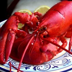 How to Boil a Lobster - Farm Style - Longmeadow Farm