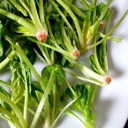 Turkish Spinach Salad