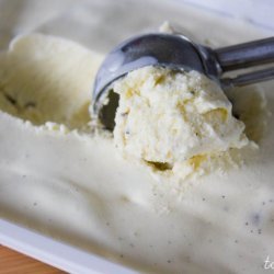 Homemade Vanilla Chocolate Chip Ice-Cream