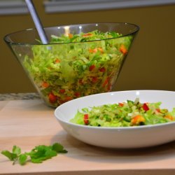 Tangy Mung Bean Salad