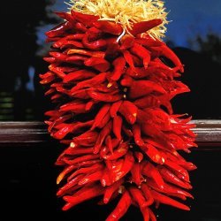 Tucson Chili