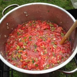 Spicy Salsa Preserves