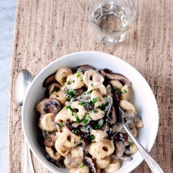 Tortellini With Creamy Butternut Squash