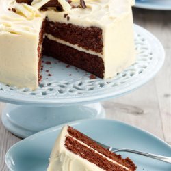 Double Fudge Cake