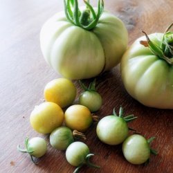 Green Tomato Bread