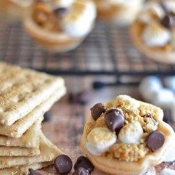 Miniature S'mores