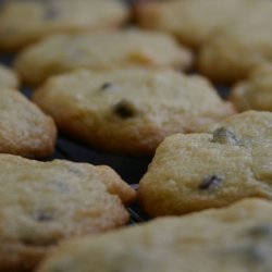 Mmmmm...chocolate Chip Cookies