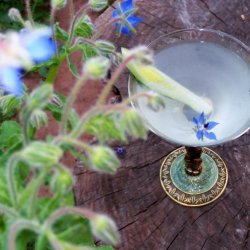 Cucumber Martini !