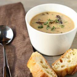 Creamy Porcini Soup