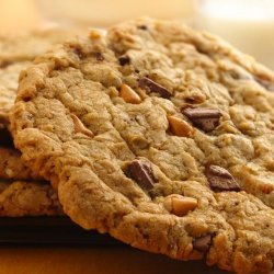 Butterscotch Chocolate Cookies