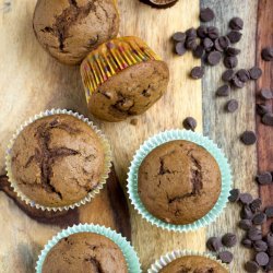 Espresso Chip Muffins