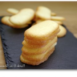 Langues De Chat