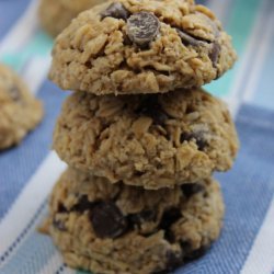 Vegan Chocolate Chip Cookies