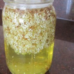 Elderflower Liqueur