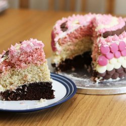 Neapolitan Cake