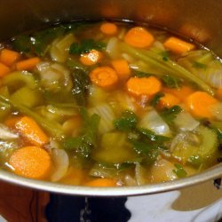 Quick Vegetable Stock