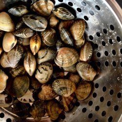 Wok-Stirred Clams and Black Beans