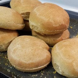 Hamburger Buns