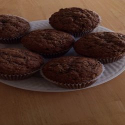 Whole Wheat Zucchini Muffins