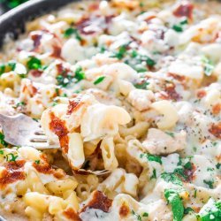 Easy Chicken Alfredo