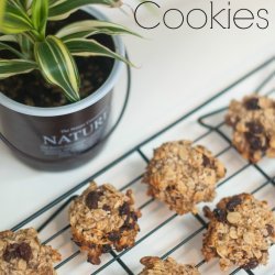 Oatmeal Cookies (Without the Sugar)