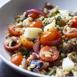 Tomato-Barley Salad