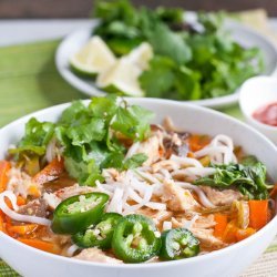 Asian Chicken Noodle Soup