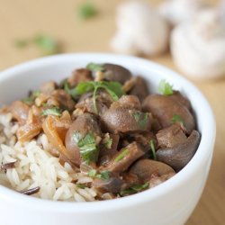 Mushrooms Stroganoff