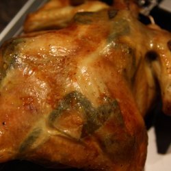 Chicken with Sage and Garlic