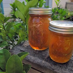 Lemon-Lime Marmalade