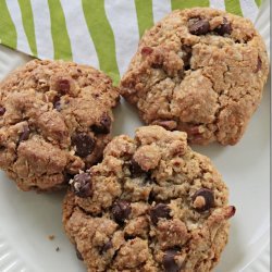 Homemade Chocolate Chip Cookies