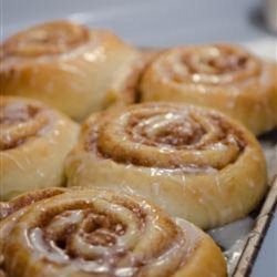 Cinnamon Snails