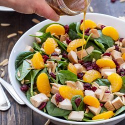 Spinach Salad With Chicken