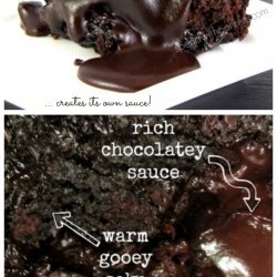 Chocolate Pudding Cake