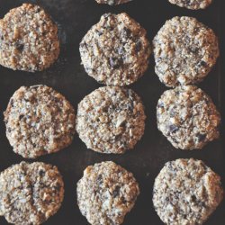 Coconut Chocolate Chip Cookies