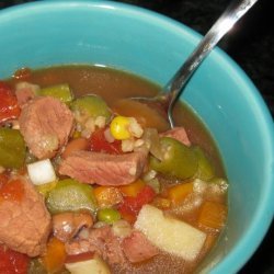 Quick Beef Vegetable Soup