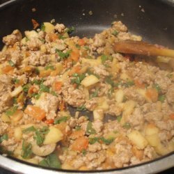 Turkey Picadillo