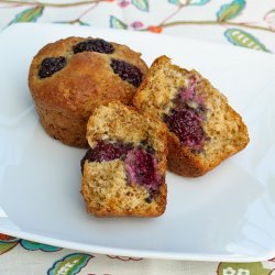 Blackberry Bran Muffins