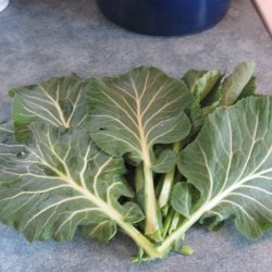 Collard Greens