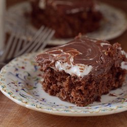 Mississippi Mud Cake