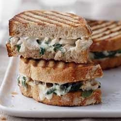 Alfredo Florentine Chicken Panini