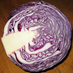 10 in 10 Diet Cabbage Soup